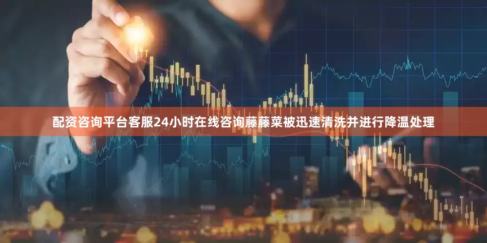 配资咨询平台客服24小时在线咨询藤藤菜被迅速清洗并进行降温处理