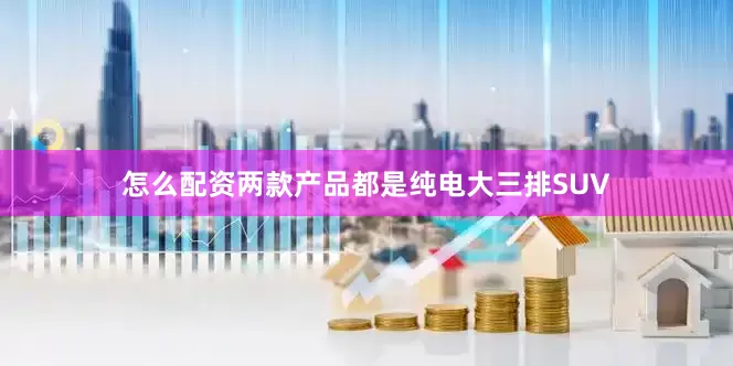 怎么配资两款产品都是纯电大三排SUV