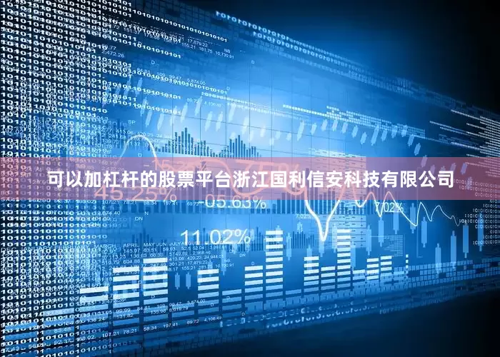 可以加杠杆的股票平台浙江国利信安科技有限公司