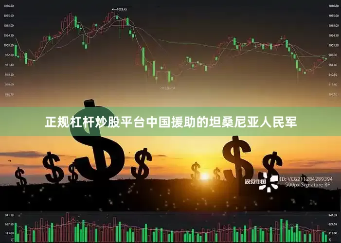 正规杠杆炒股平台中国援助的坦桑尼亚人民军